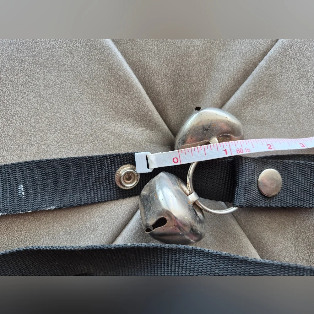 Potty Training Doggy Door Bells